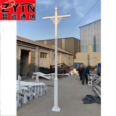 TN-BJ0027 小區(qū)變徑監(jiān)控桿